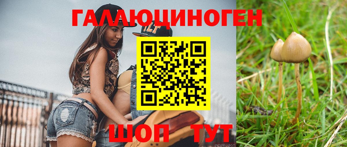 Псилоцибиновые грибы MAGIC MUSHROOMS  Вход с VPN  Большой Камень  Галлюциногенные грибы ЛСД 