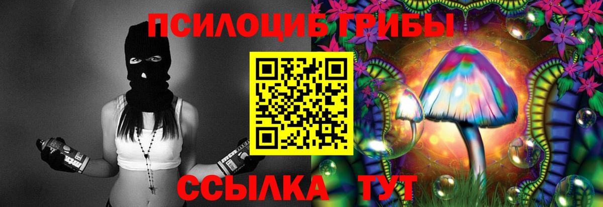 Псилоцибиновые грибы мухоморы Большой Камень